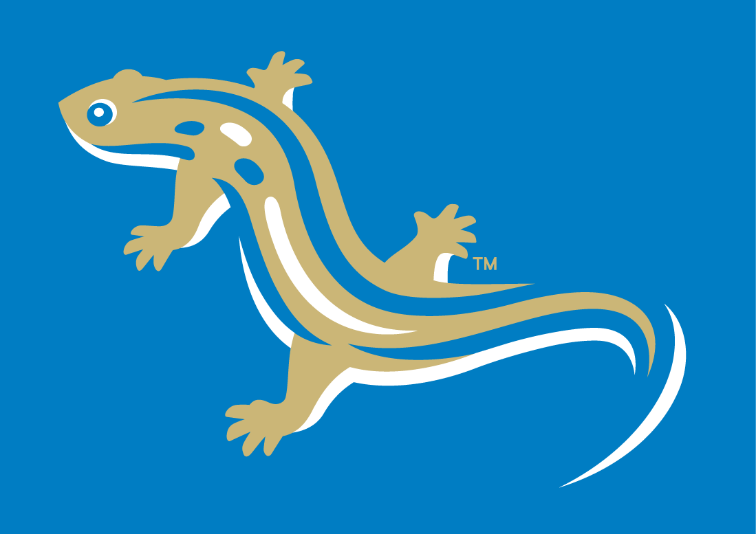 Holly Springs Salamanders 2015-Pres Alternate Logo v3 iron on heat transfer